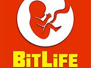 BitLife Life Simulator Online