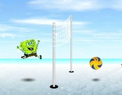 Funny Volleyball
