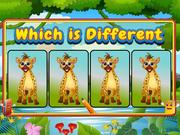Which Is Different Animal