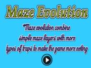 Maze Evolution